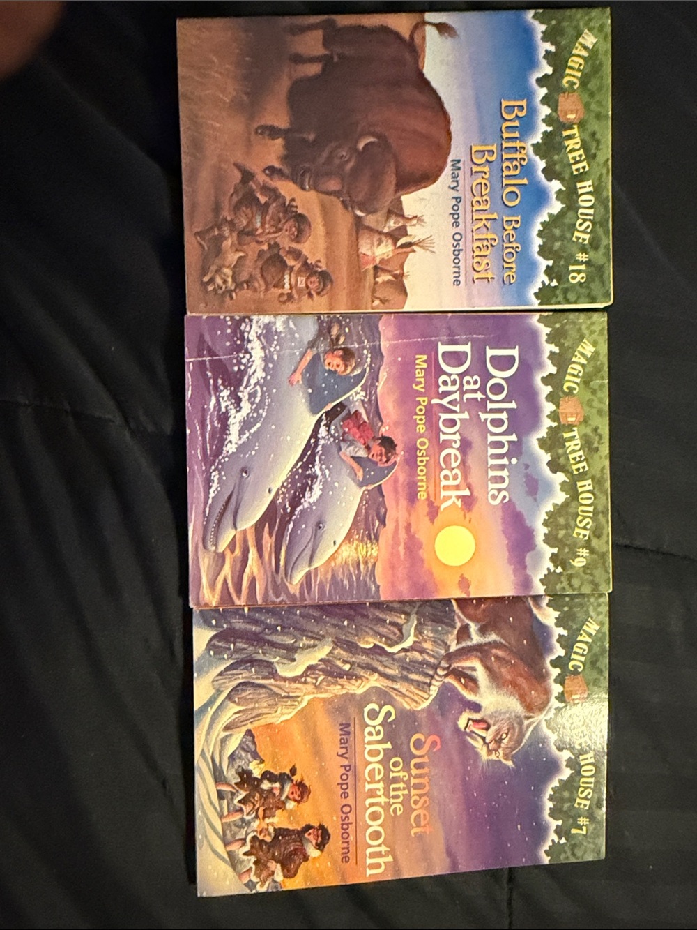 Magic Tree House Kids Book Set -